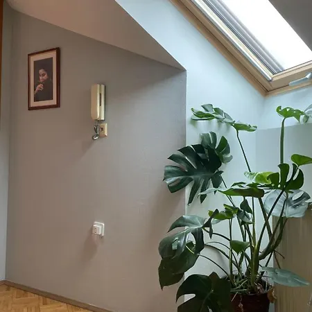 Grazer Schwalbe Apartment