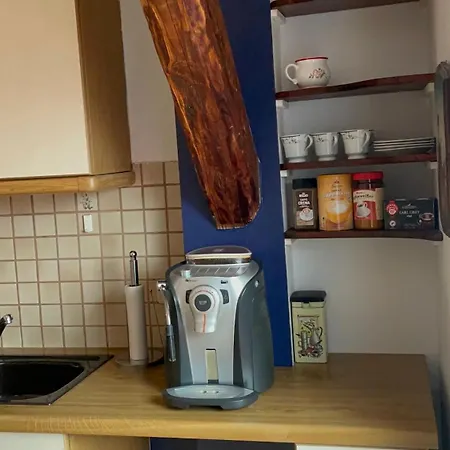 Grazer Schwalbe * Graz