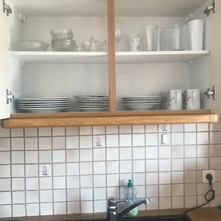 Grazer Schwalbe * Štýrský Hradec