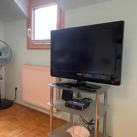 Grazer Schwalbe * גראץ