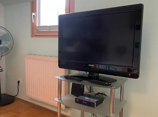 Grazer Schwalbe * Graz