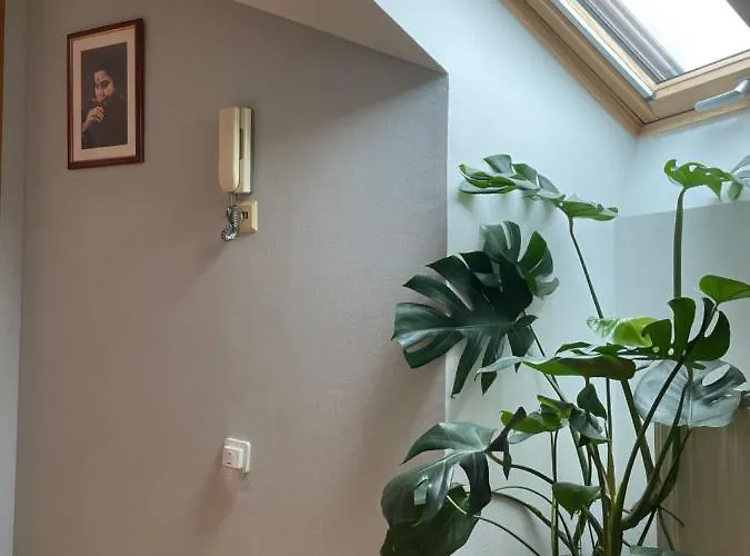 Grazer Schwalbe Apartament