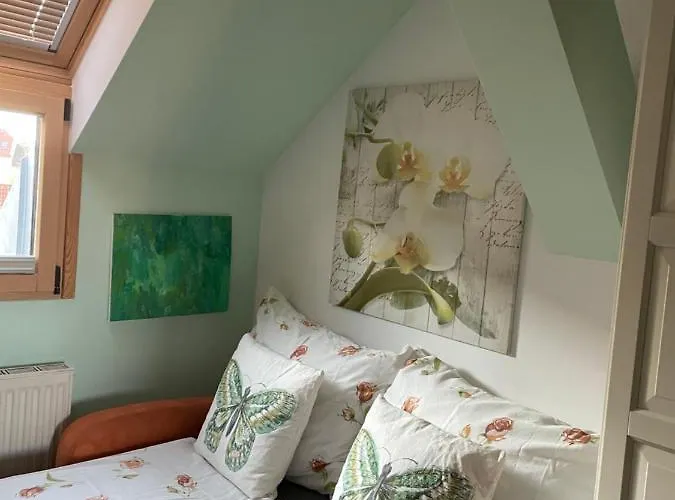 格拉茨施瓦尔贝酒店